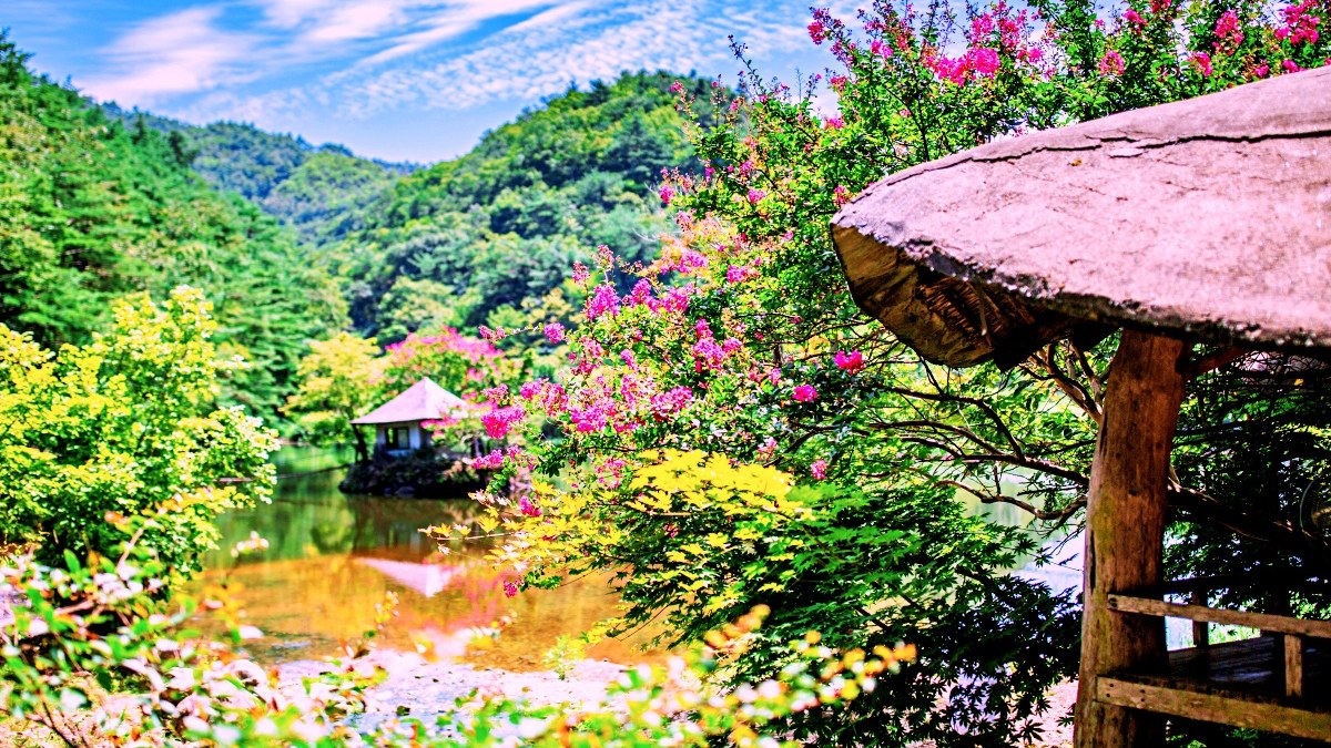 일일캠프닉타운 배롱나무 / 사진=게티이미지뱅크