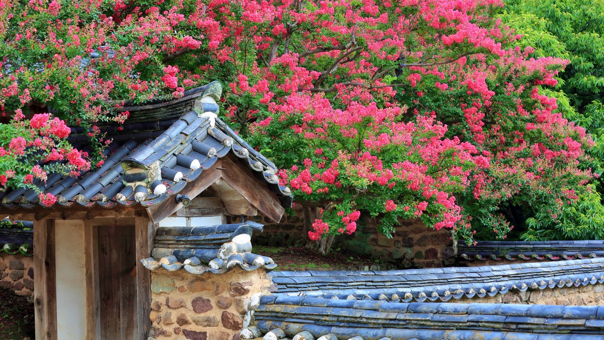 병산서원 여름 풍경 / 사진=게티이미지뱅크
