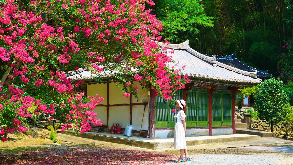 논산 보명사 / 사진=논산시청