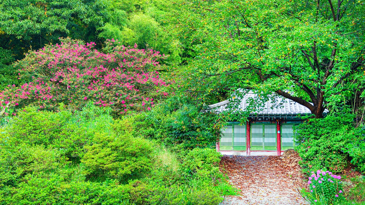 보명사 주변 풍경 / 사진=논산시청