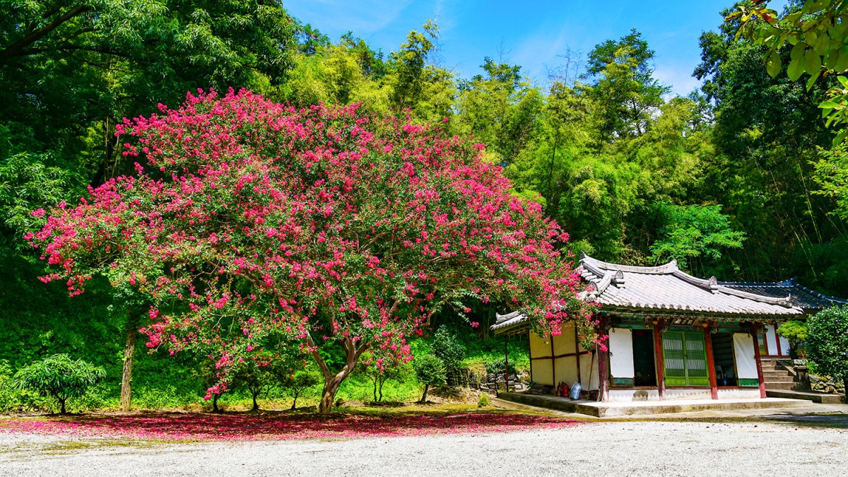 논산 보명사 / 사진=논산시청