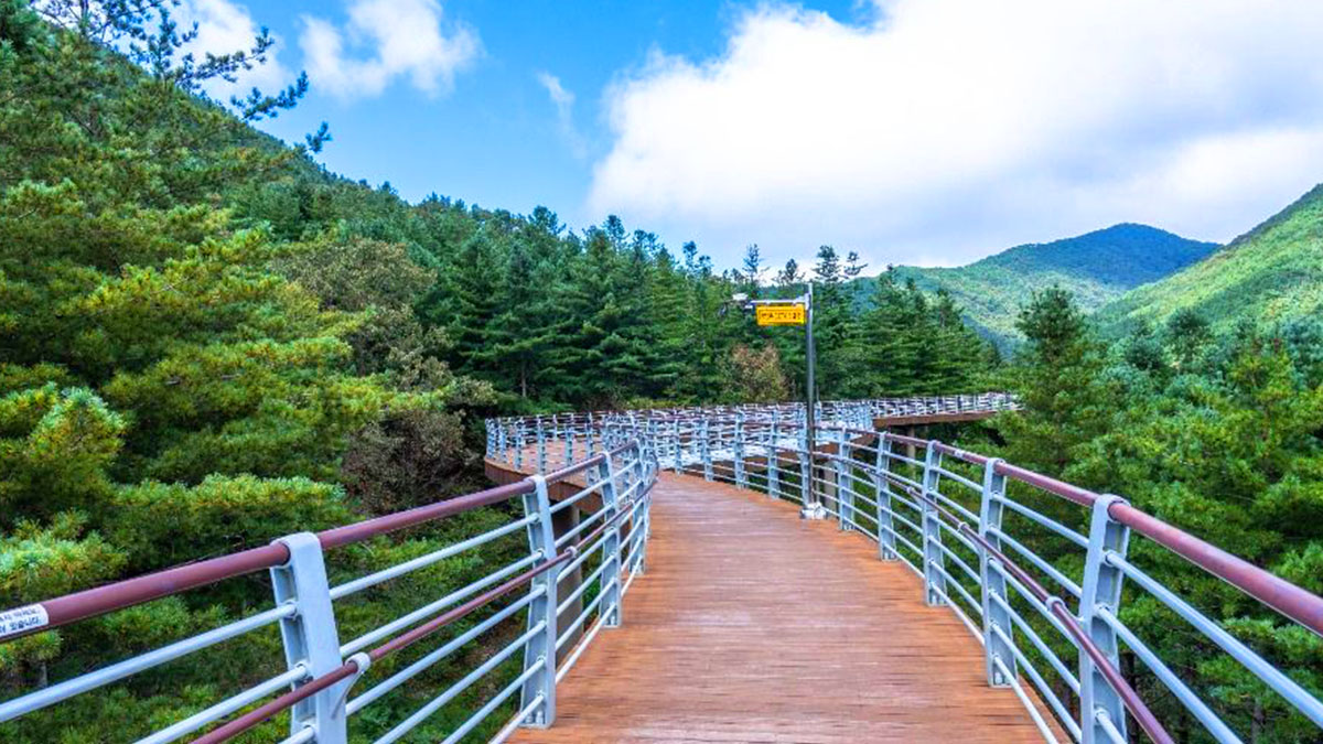 무궁화수목원 산책로