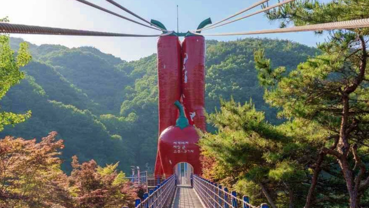 천장호 출렁다리 / 사진=한국관광콘텐츠랩