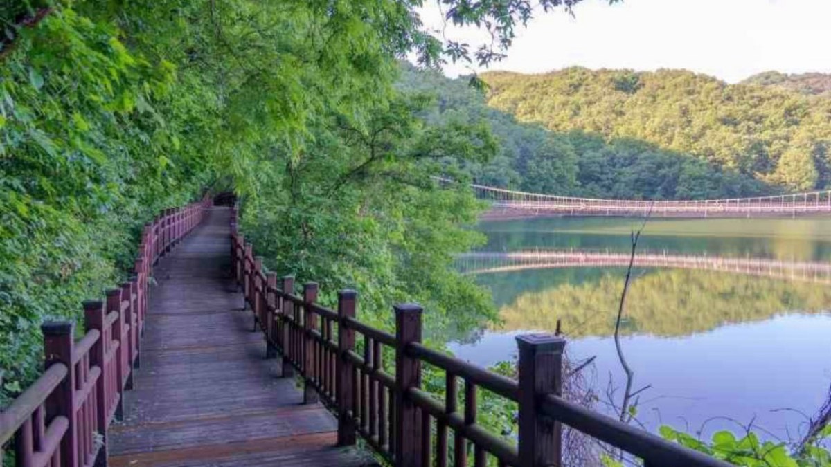 천장호 출렁다리 데크길 / 사진=한국관광콘텐츠랩