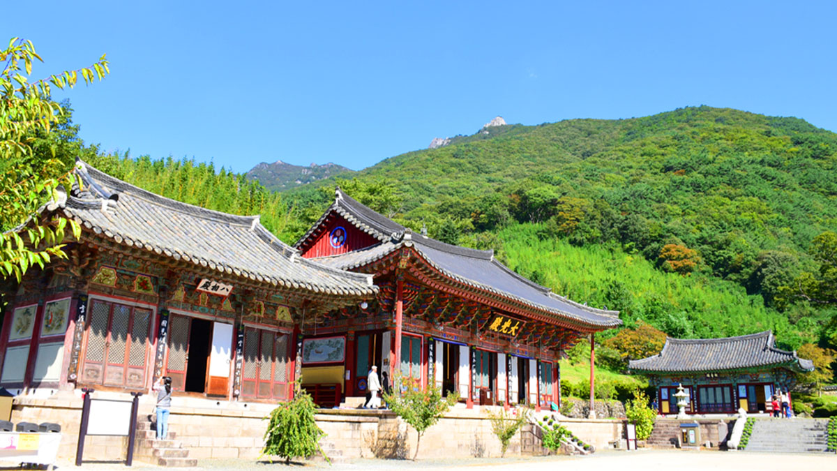 표충사