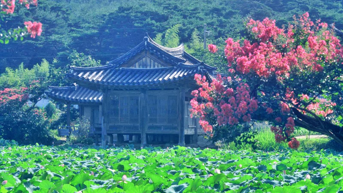 경주 서출지 / 사진=경주문화관광