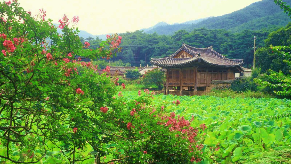 경주 서출지 풍경 / 사진=경주문화관광