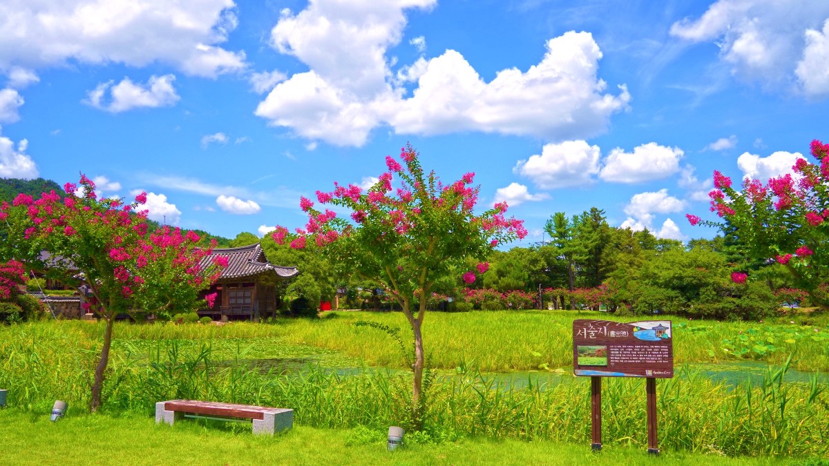 경주 서출지 모습 / 사진=경주문화관광