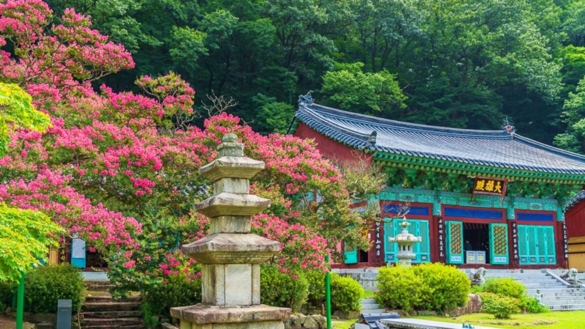 영동 반야사 / 사진=한국관광콘텐츠랩