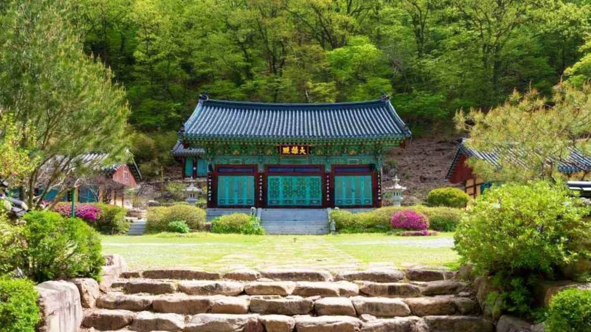 반야사 모습