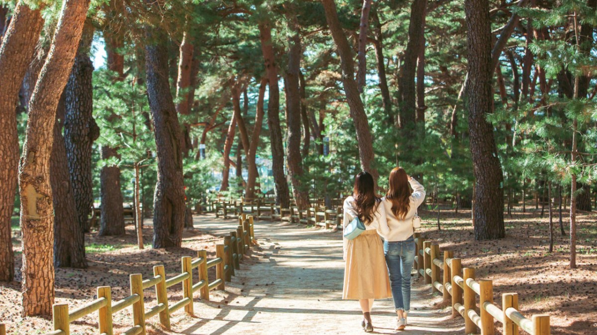 울진 왕피천공원 산책로 / 사진=왕피천공원