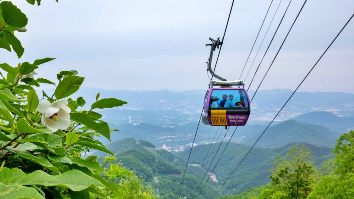 발왕산 케이블카 모습 / 사진=발왕산관광케이블카