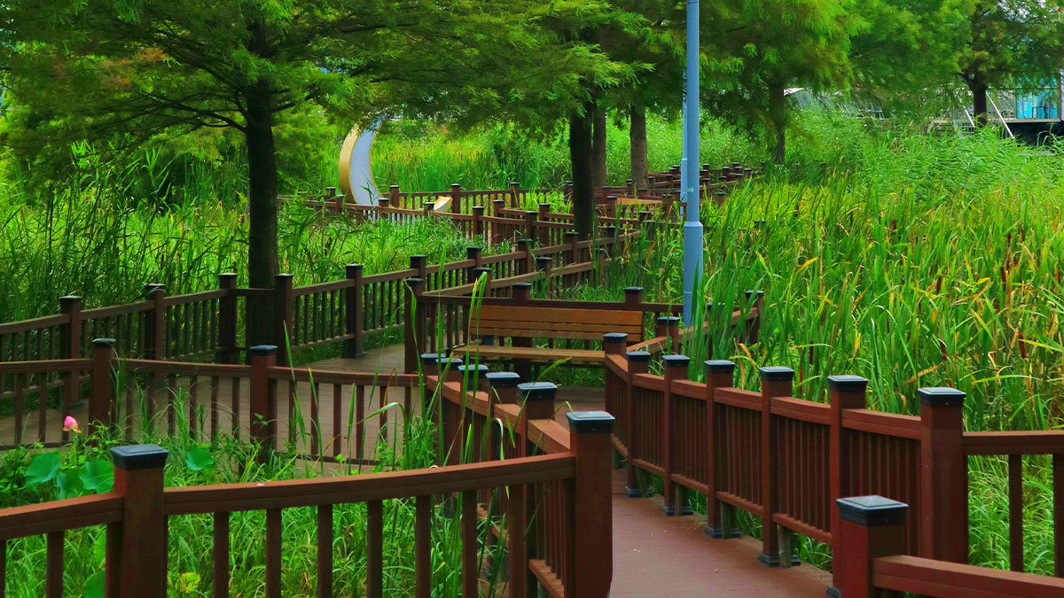 왕송호수공원 산책로