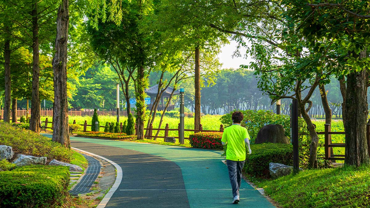 신정호수공원 산책로