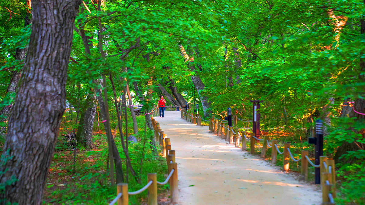 상림공원 숲길