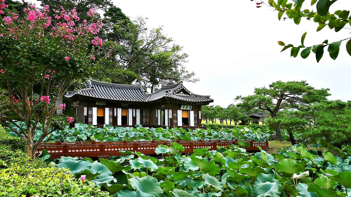 선교장 활래정 연못