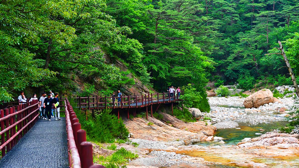 설악산 공룡능선 오색 트레킹