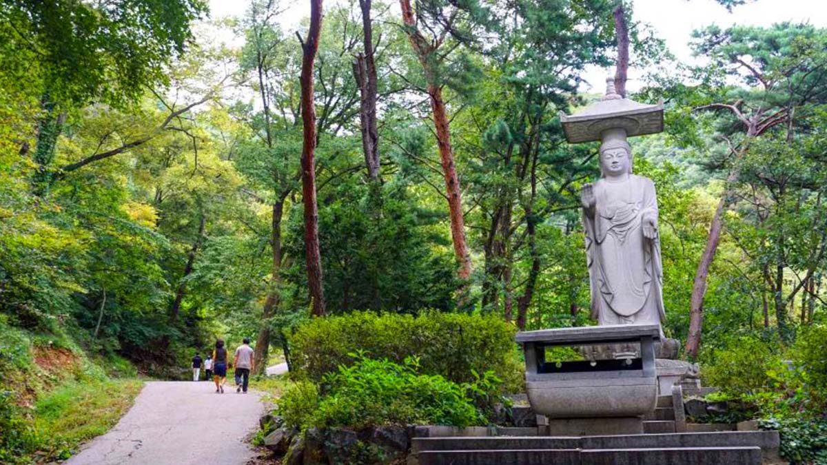 수종사 산책로