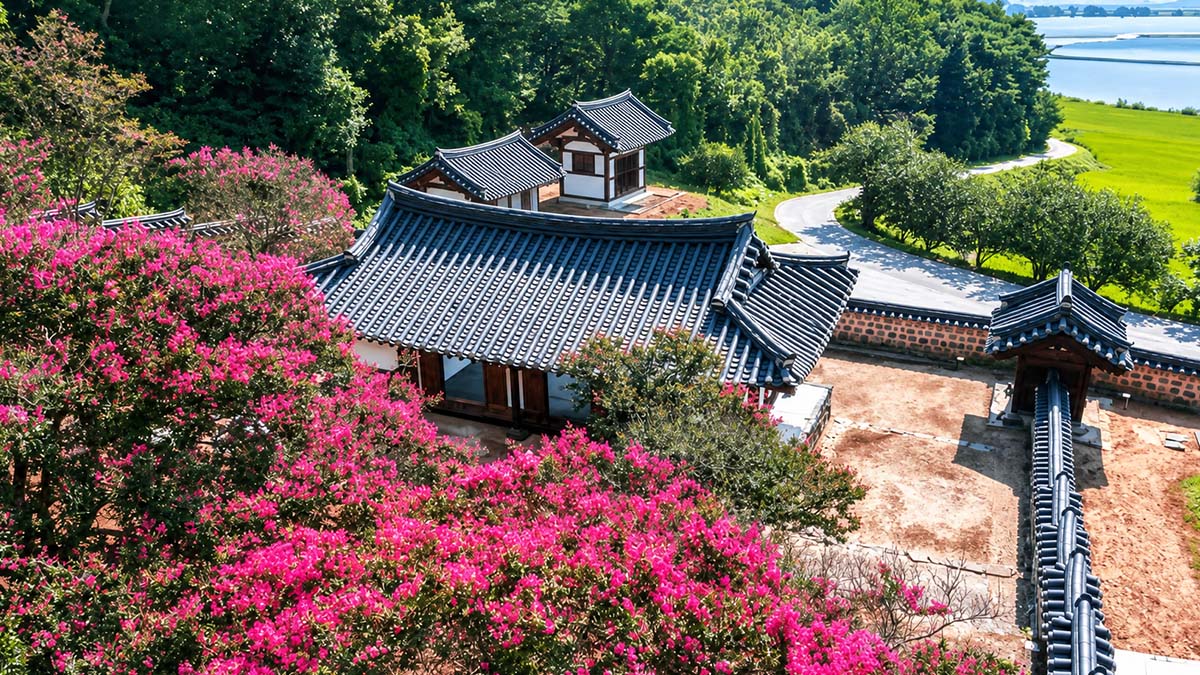 종학당 배롱나무