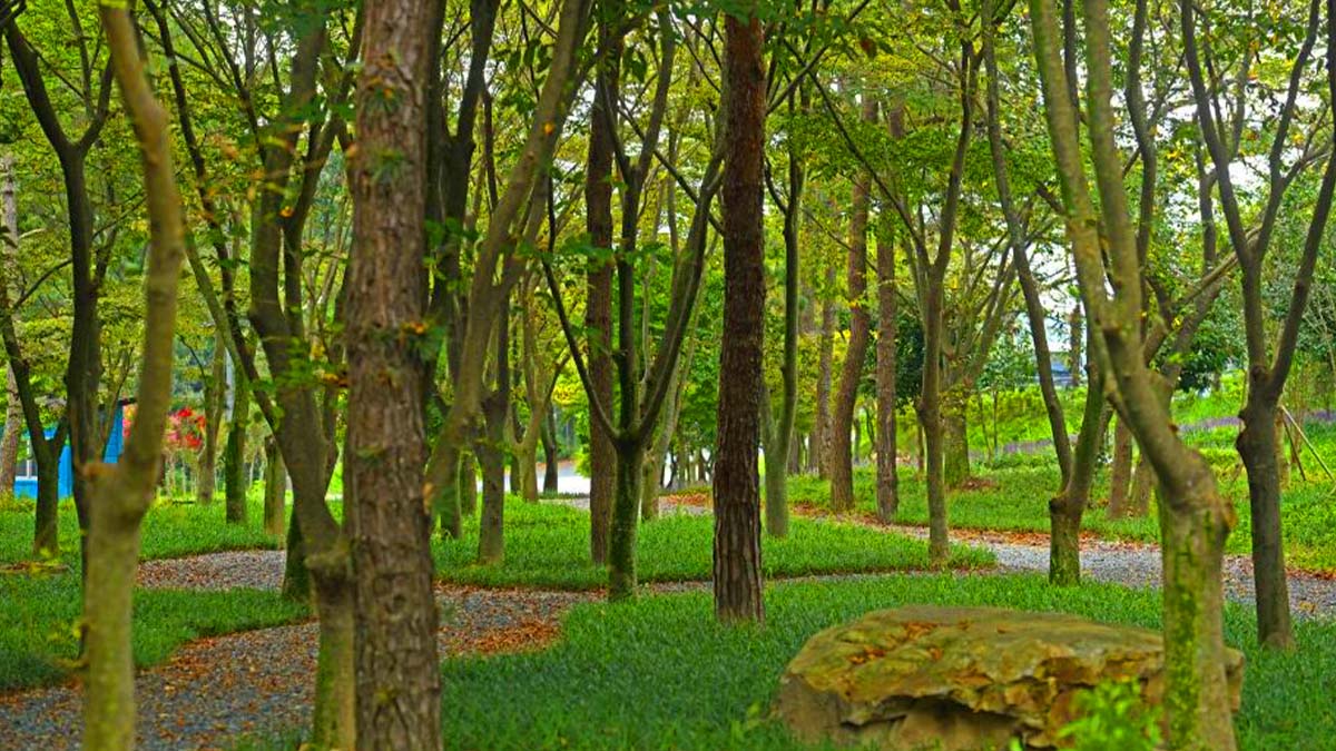 석문공원 숲길