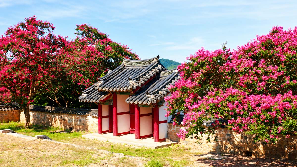 충곡서원 붉은 풍경