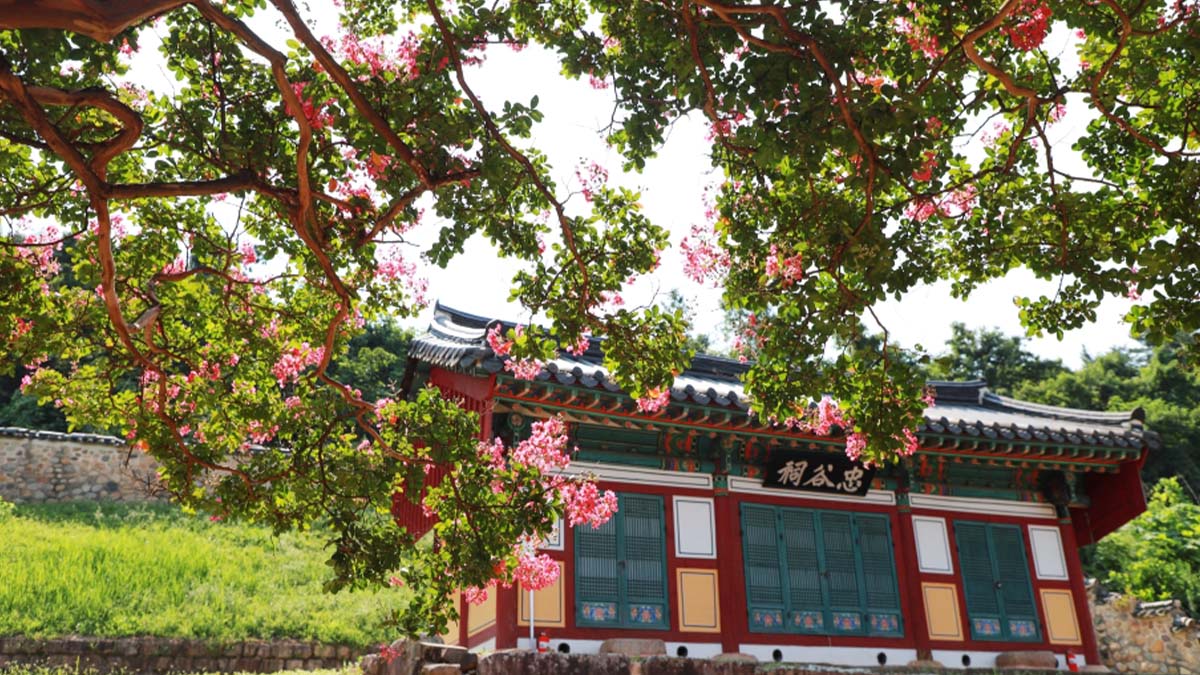 충곡서원