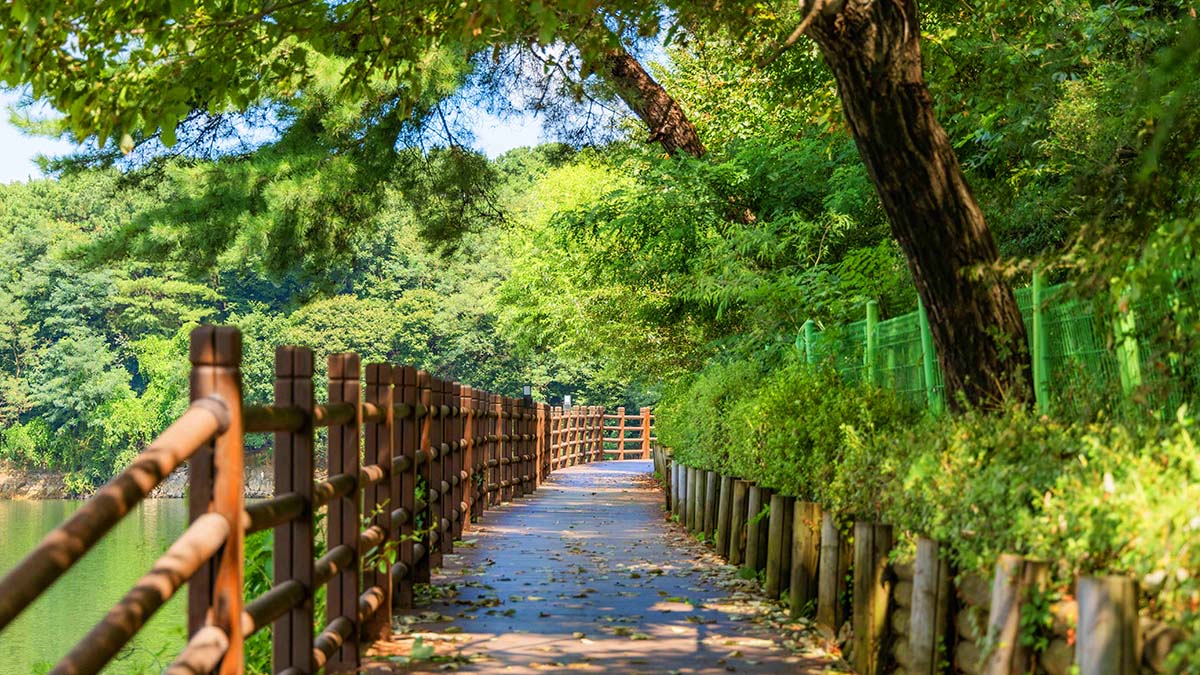 고모호수궁원 산책로