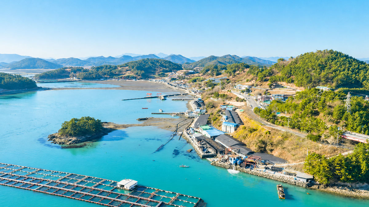고금도