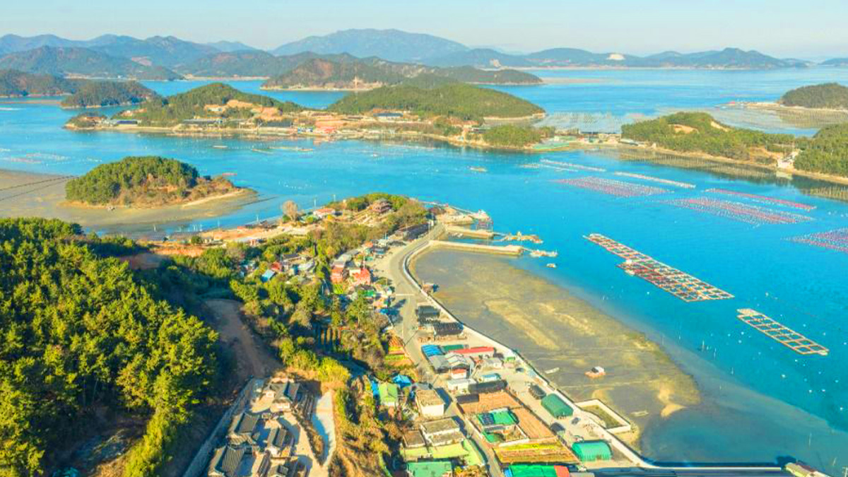 고금도 전경