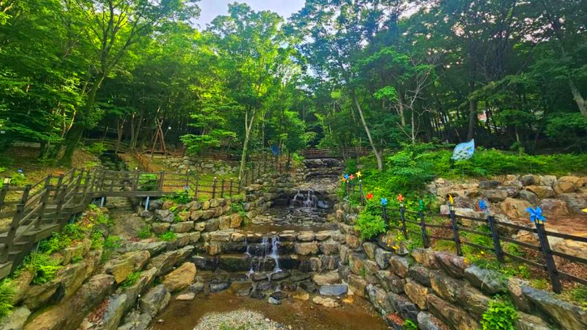 거제자연휴양림 여름 계곡