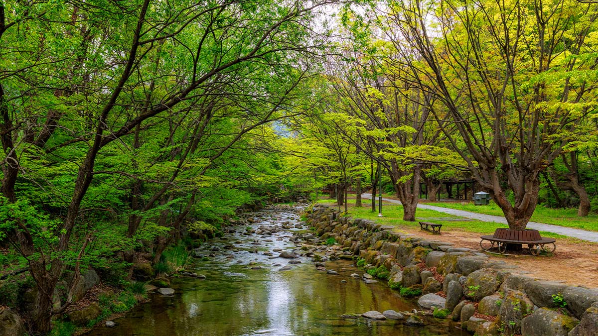 팔랑폭포 풍경