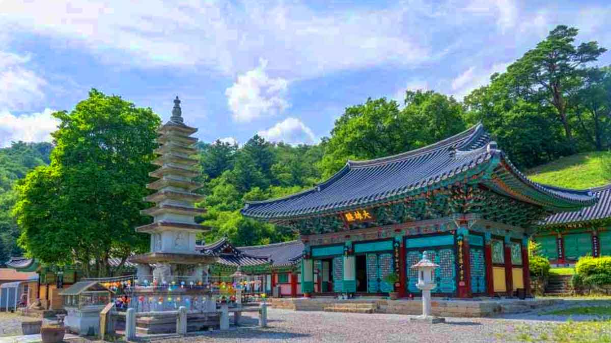 총탄 흔적 간직한 천년 사찰 횡성 봉복사 탐방