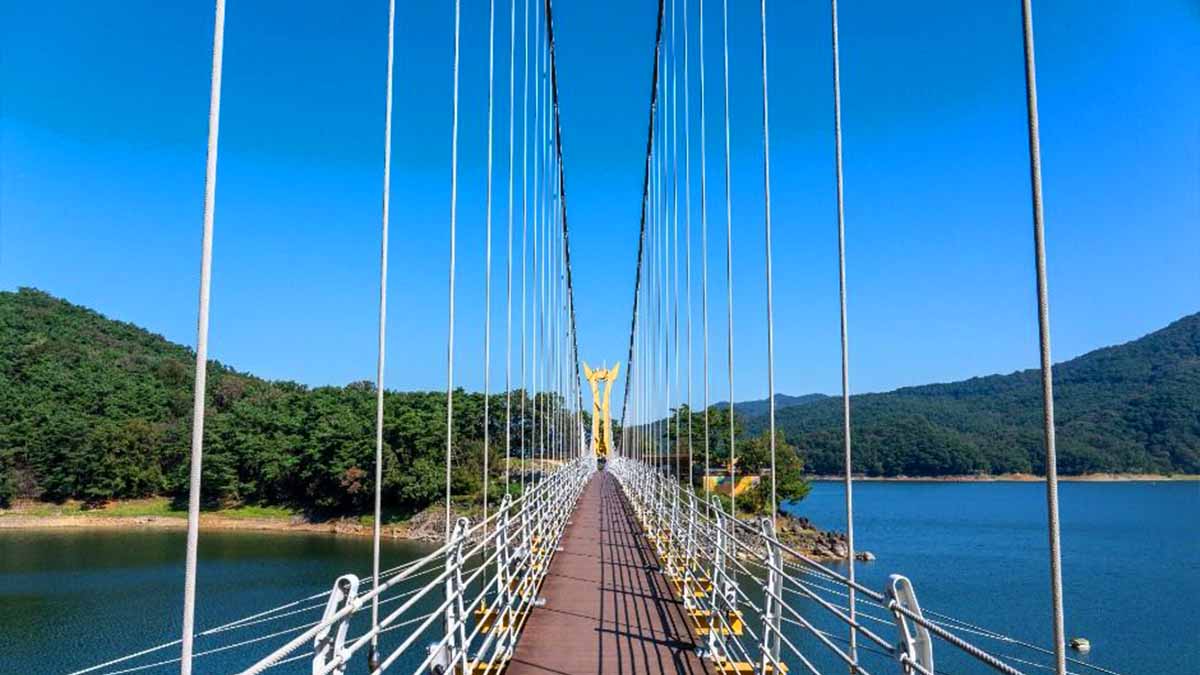 장성호 출렁다리 경관