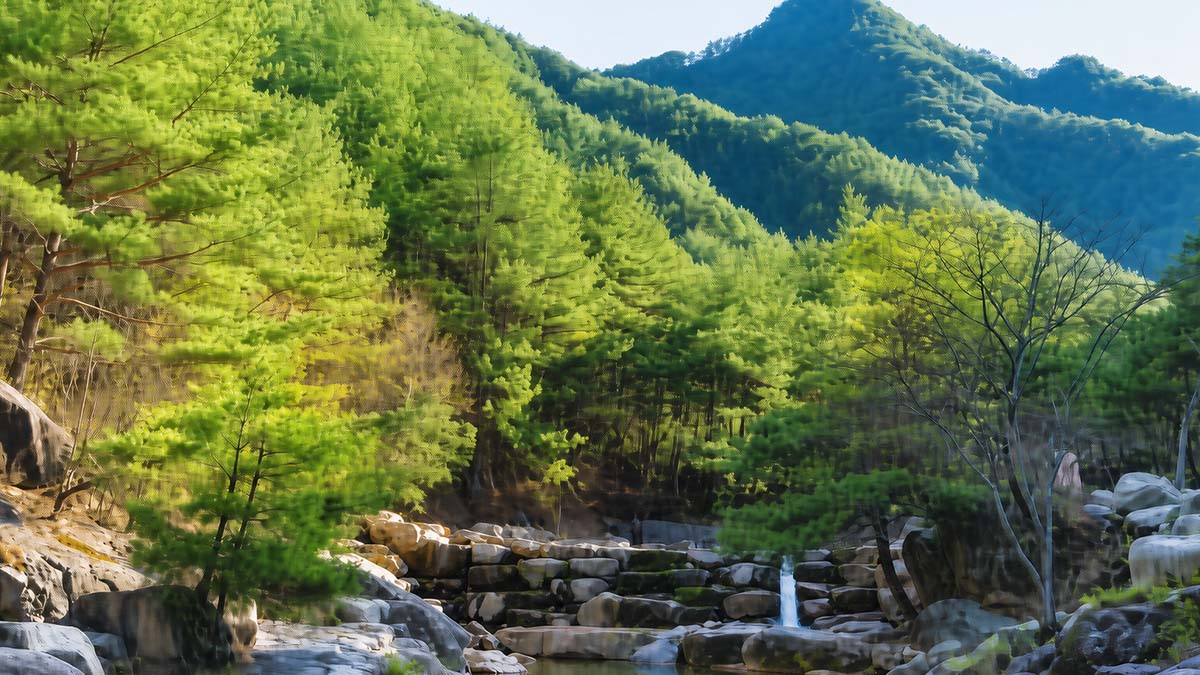 금원산