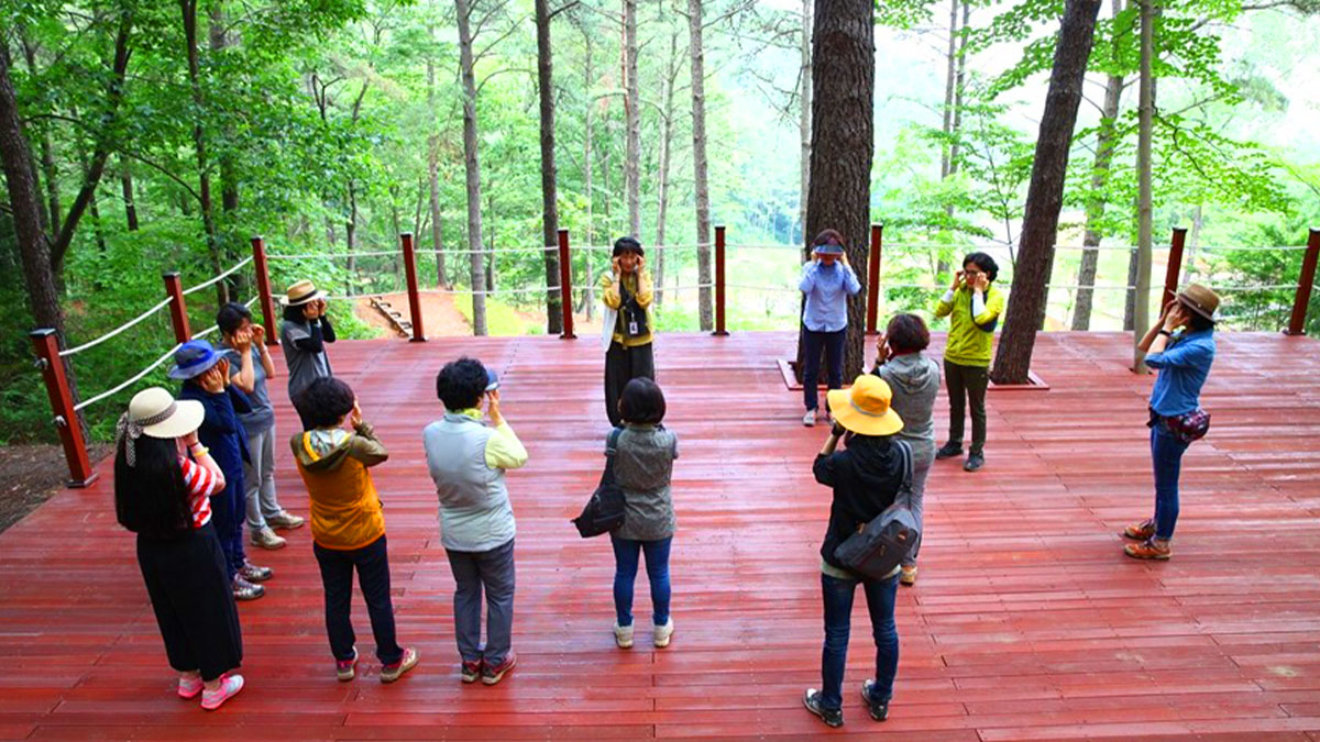 백운산자연휴양림 산림치유프로그램