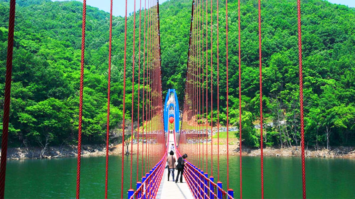 천장호 출렁다리 전경