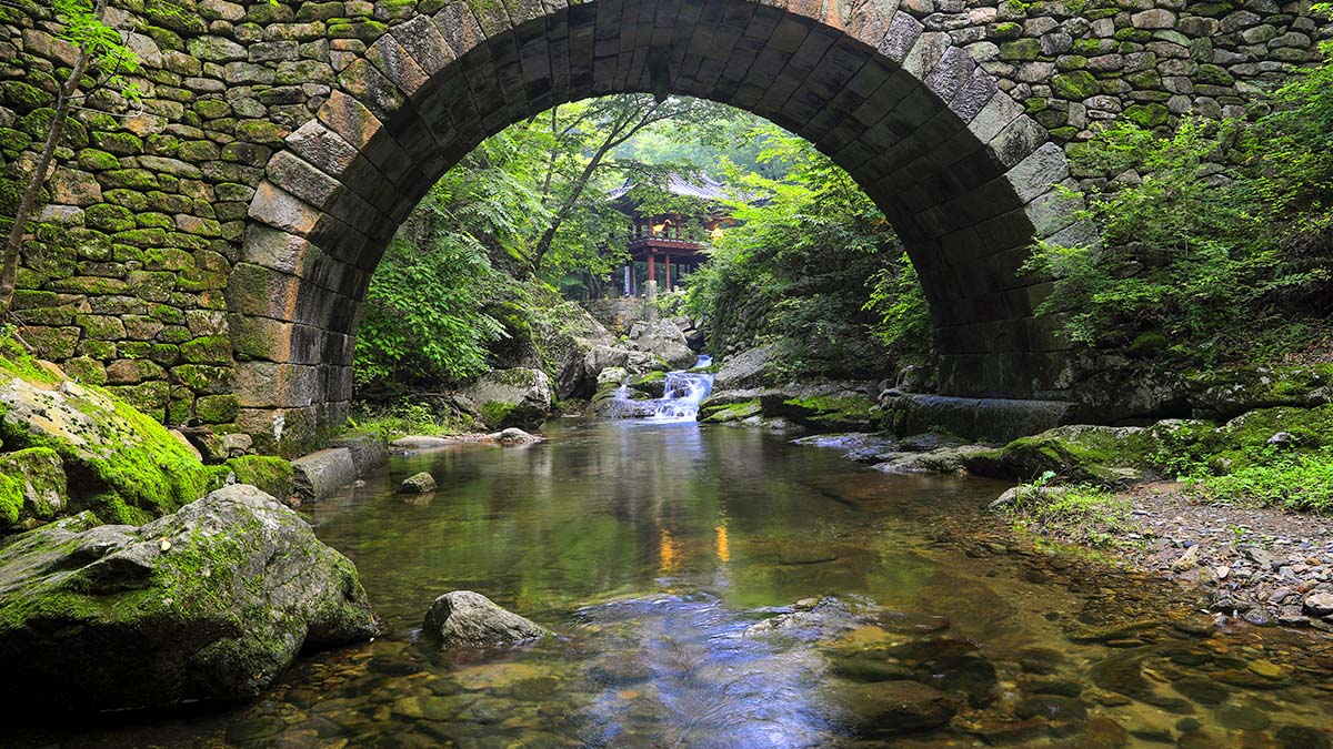 선암사 여름