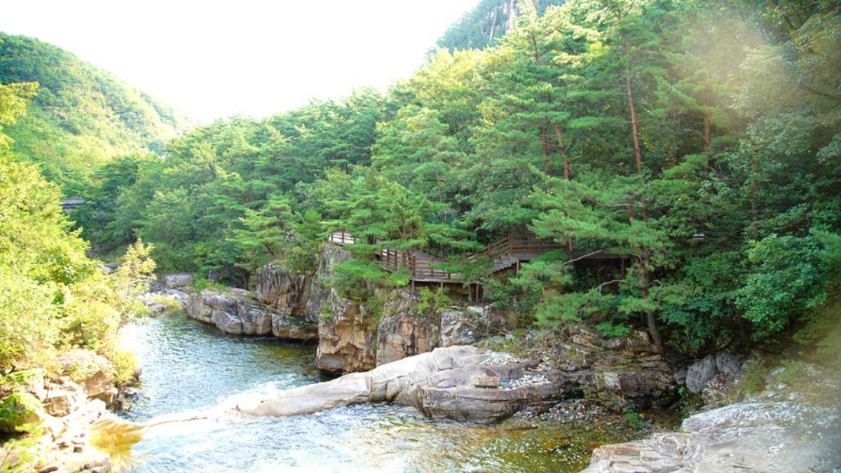 두타산 무릉계곡 풍경 / 사진=한국관광콘텐츠랩
