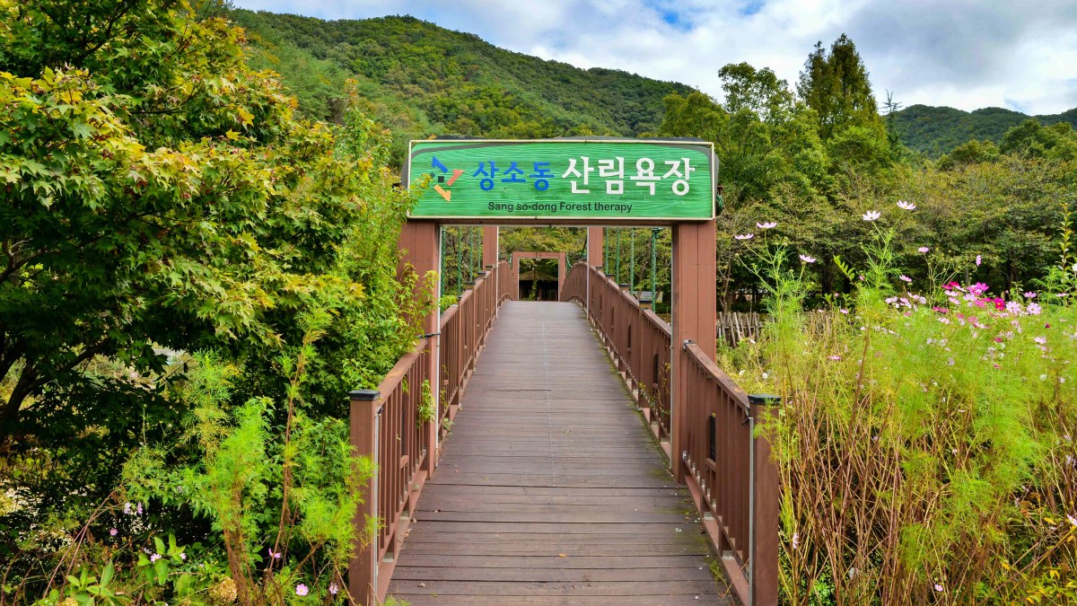 상소동 산림욕장 입구 / 사진=한국관광공사 송재근
