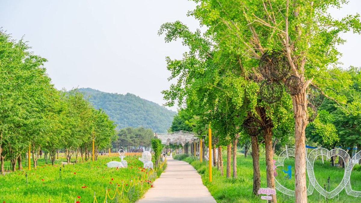 자라섬 산책로 / 사진=한국관광콘텐츠랩