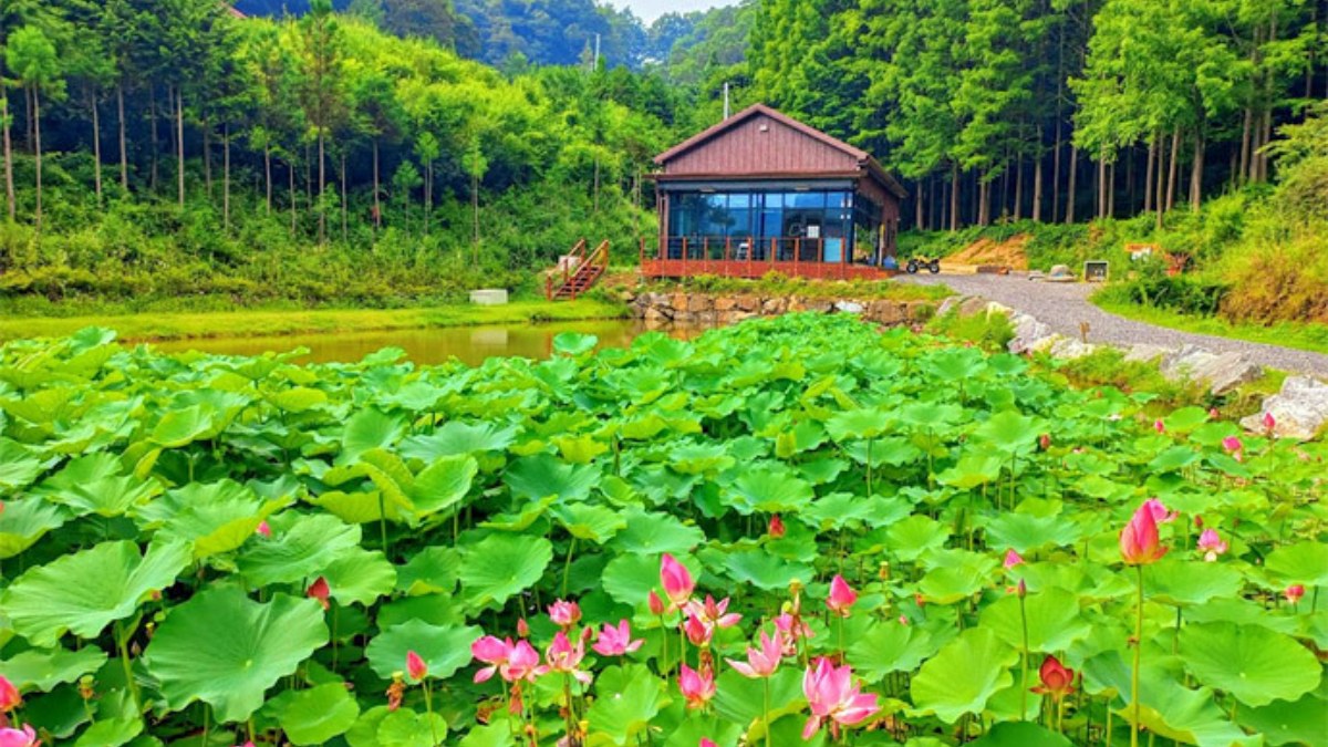 옥천 화인산림욕장 / 사진=화인산림욕장
