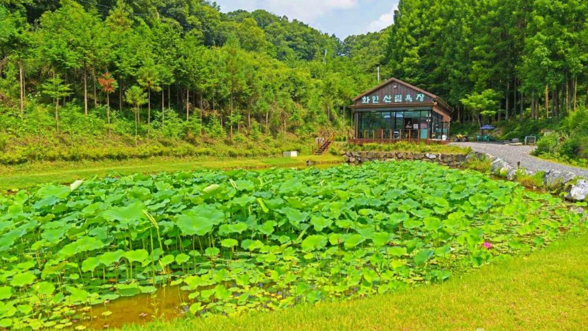 옥천 화인산림욕장 모습 / 사진=한국관광콘텐츠랩