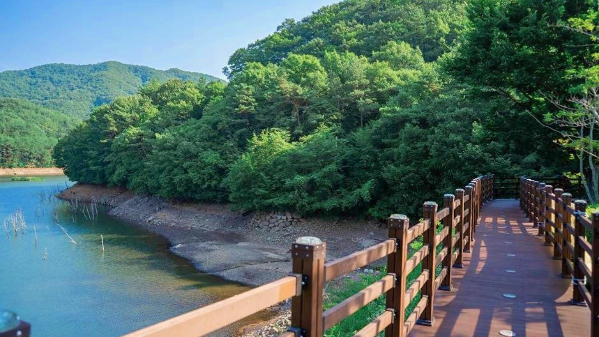 보성 제암산자연휴양림 산책로 / 사진=한국관광콘텐츠랩