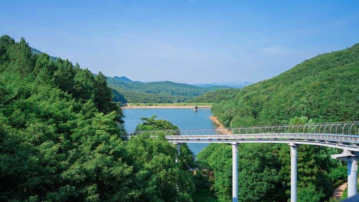 보성 제암산자연휴양림 풍경 / 사진=한국관광콘텐츠랩