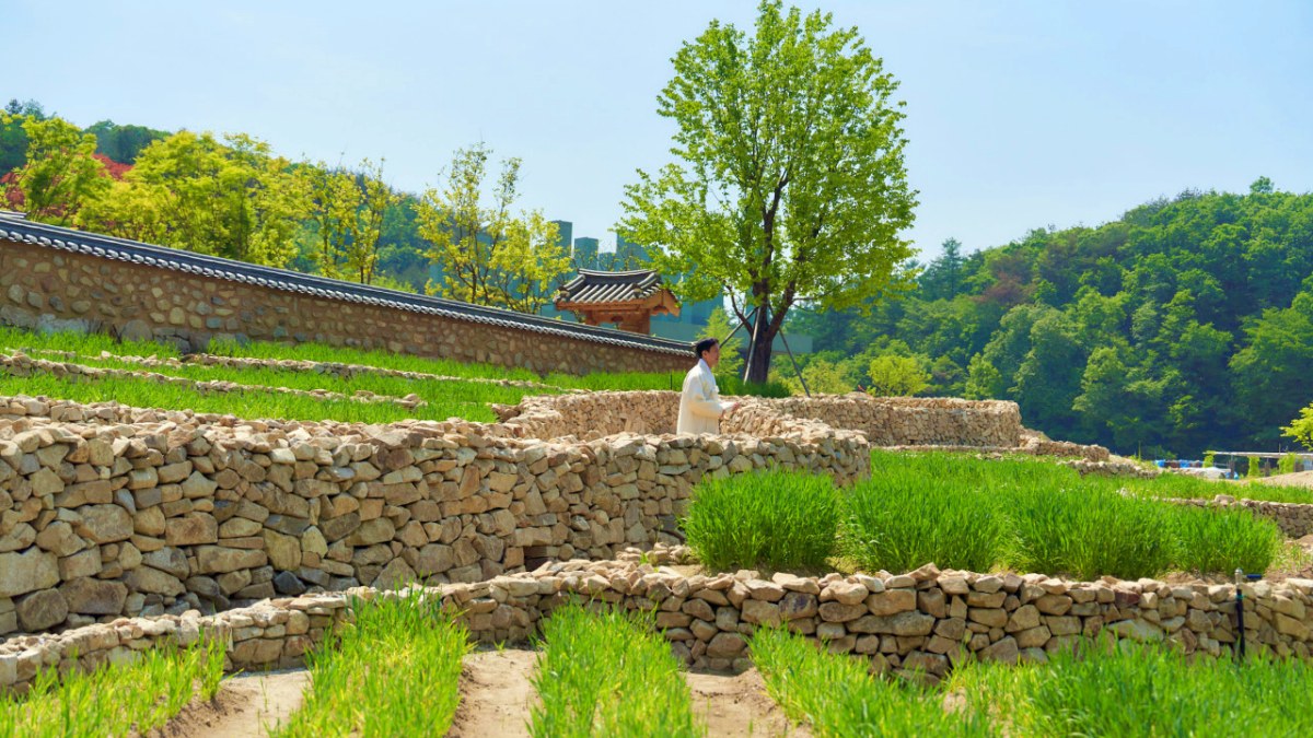 메덩골정원 풍경 / 사진=메덩골정원