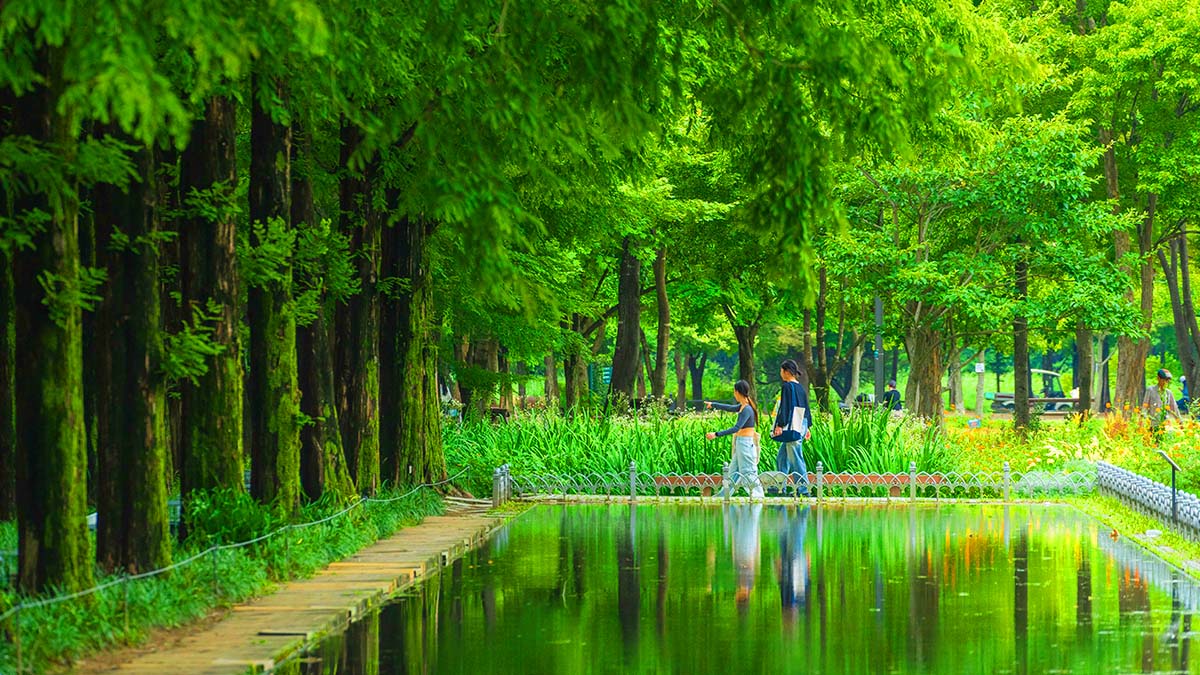 서울숲 풍경