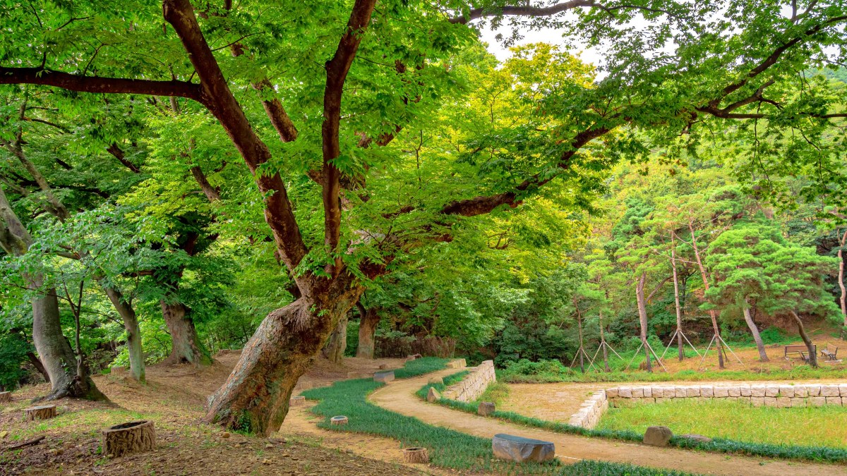 대구 옻골마을 풍경 / 사진=한국관광공사 앙지뉴필름