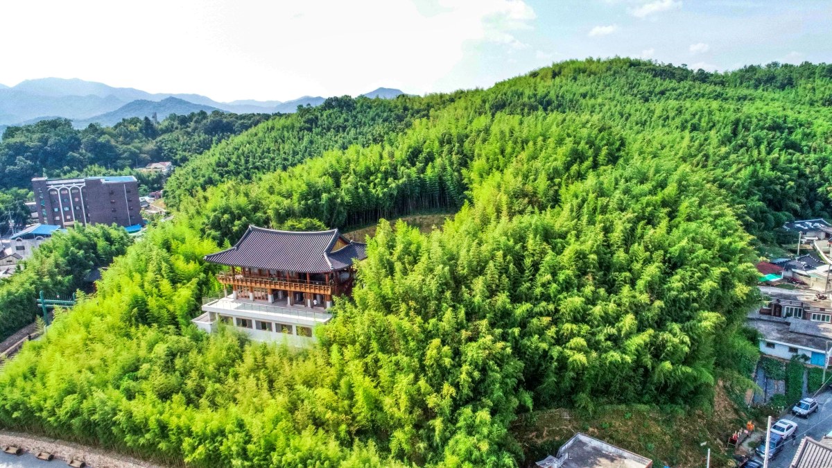 담양 죽녹원 전경 / 사진=한국관광공사 라이브스튜디오
