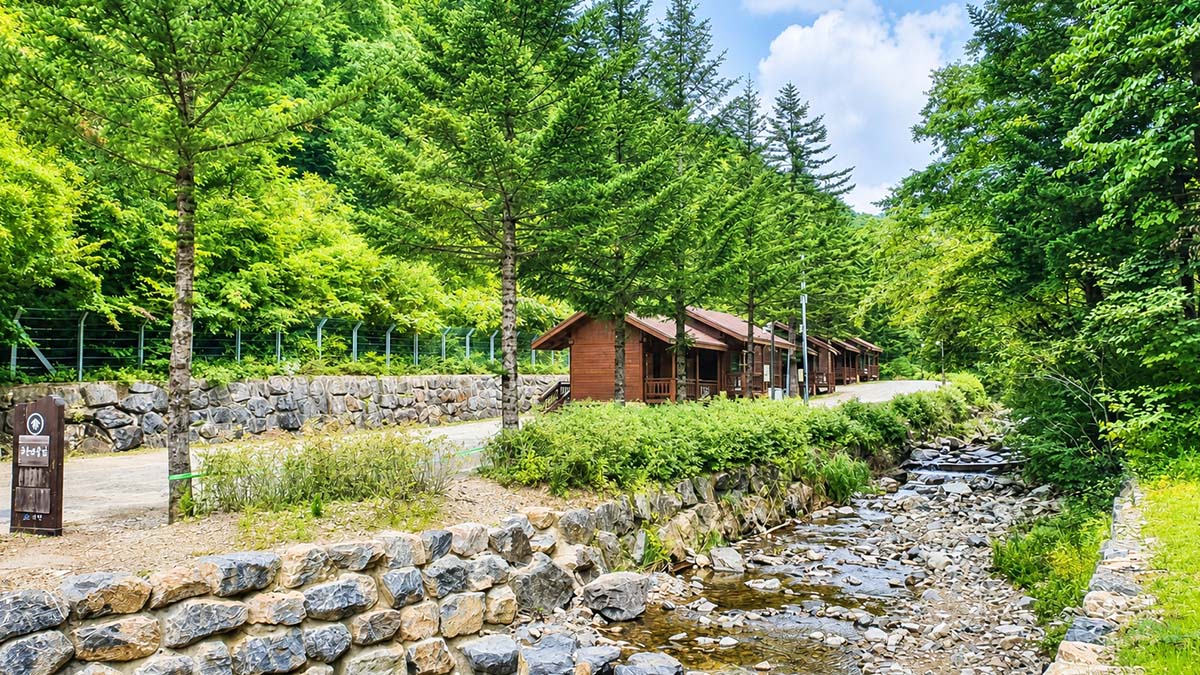 삼봉자연휴양림 계곡