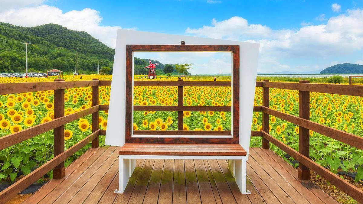 난정리 해바라기마을 정원 포토존 / 사진=한국관광공사 정규진